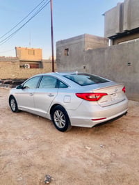 سوناتا ٢٠١٥ • وارد امريكي • ديوانية ام الخيل