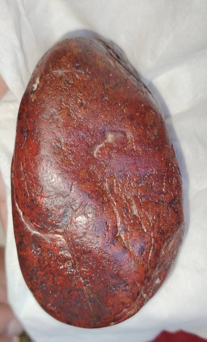 حجر دم القندادش خامه ملاگط
السعر خاص توصيل موجود جميع المحافظات العراق


**إذا كنت صاحب هذا الإعلان وتريد حذفه لأي سبب، رجاءا أرسل رسالة إلى الدعم الفني**