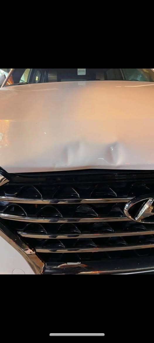 توسان واحد وعشرين رقم بغداد تحويل ثاني يوم صدعات ب بنيد معمره مصبوغه ماشيه ٣٥ سياره مكفوله ميكانيك تخم تاير عنوان بغداد استفسار ع هذا رقم*********** مكلف بالنشر
