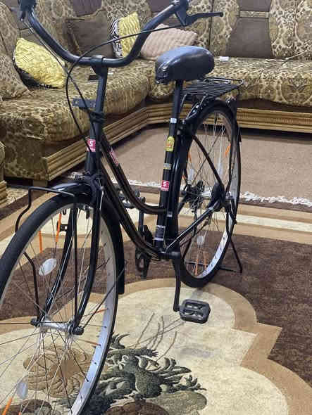 للبيع فقط 

باسكل نوع  سانتوس 

حجم 27

مصبوغ حراري فقط 

غراض كاملة 

السعر 100 بي مجال قليل 

مكاني موصل أيسر حي فلسطين

رقمي *********** شراي اتصل
