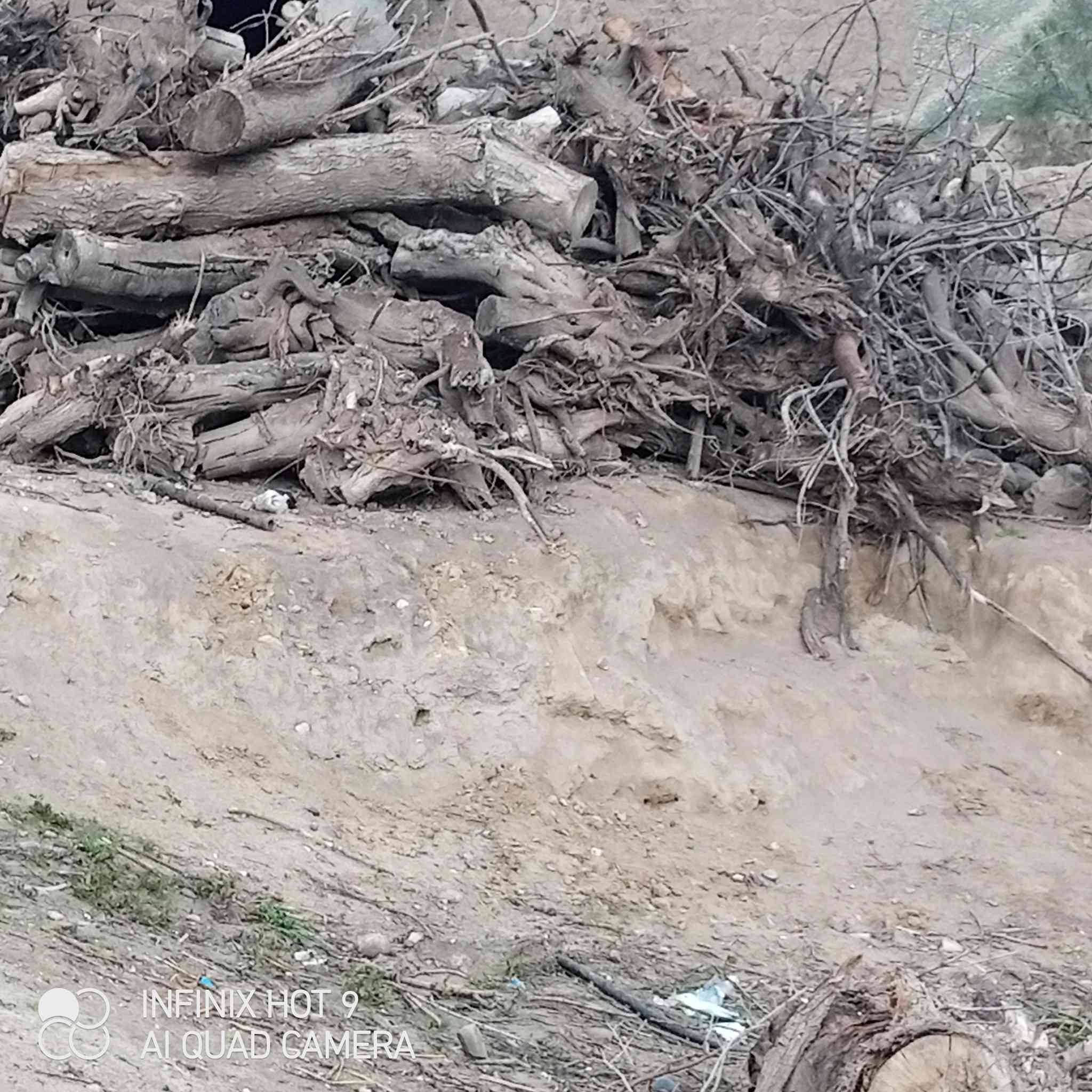 السلام عليكم يوجد حطب يابس للبيع للاستفسارالاتصال على الرقم***********
