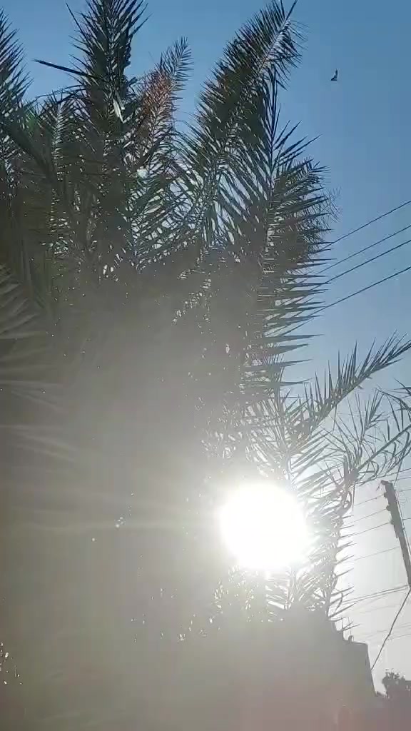 السلام عليكم تكتك للبيع موديل 18  السعر خاص ***********
