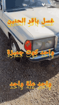 من رخصت مدير الكروب المحترم مارسيدس ابو جحيل موديل 82 اصل بلاد بليته و...