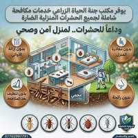 #عندك #ارضة بالبيت ؟ ( 🐜) وماكلة الحايط #والاخشاب وتريد تخلص منها الحل...