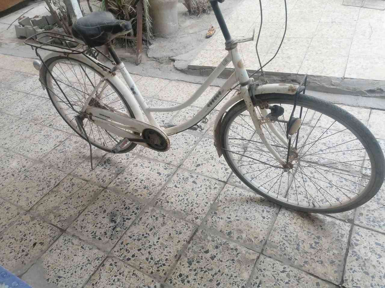 ٥٠


**إذا كنت صاحب هذا الإعلان وتريد حذفه لأي سبب، رجاءا أرسل رسالة إلى الدعم الفني**