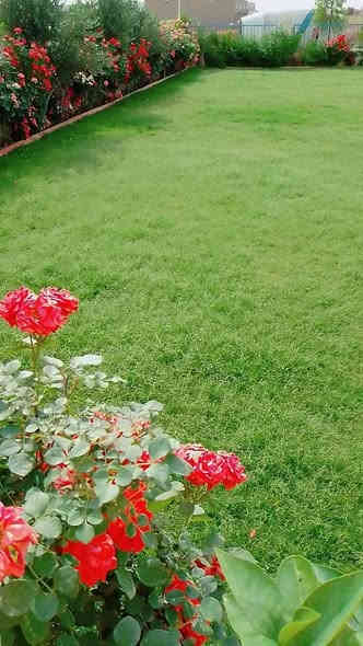 زرع حدائق + أدامه شهريه+ زرع اشجار + تقليم الأشجار +قص ثيل 

تنظيف وترتيب الحدائق + قلب وتنظيف تربه ترتيب +

تبديل تربه + ترتيب سياج الحدائق بل الملون 

ترتيب اطارات الحدائق بل حصو الملون الاستفسار 

واتساب ***********
