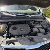 سبورتاج • ٢٠١٦ • بدون حوادث