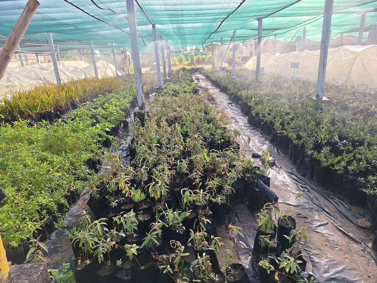 إعلان من مشتل النجف التخصصي 🌿

يسرّنا دعوتكم لزيارة #مشتل_النجف_التخصصي والاطلاع على أجود #الشتلات والنباتات المتوفرة لدينا 🌱🍃

✨ يتوفر لدينا:

 • شتلات فاكهة متنوعة
 • #نباتات زينة
 • إشراف وإرشاد زراعي متخصص

📍 العنوان:
شارع نجف كربلاء – عامود 173 – قرب أكاديمية الشرطة

🕒 أوقات الدوام:
من الأحد إلى الخميس
من الساعة 8:00 صباحًا إلى 1:00 ظهرًا

🌱 #مشتل_النجف_التخصصي – خبرة وإنتاج يخدم زراعتكم #دائرة_البستنة


**إذا كنت صاحب هذا الإعلان وتريد حذفه لأي سبب، رجاءا أرسل رسالة إلى الدعم الفني**