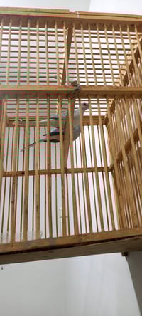 فخاتي ملكيه 💗✨كلش حلوات متزوجات هسه  موسم الابيض مالتهم كلش قريب  اي س...