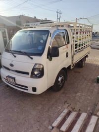 فحل لبيع 2014كفاله عامه استفسار 07876298323
