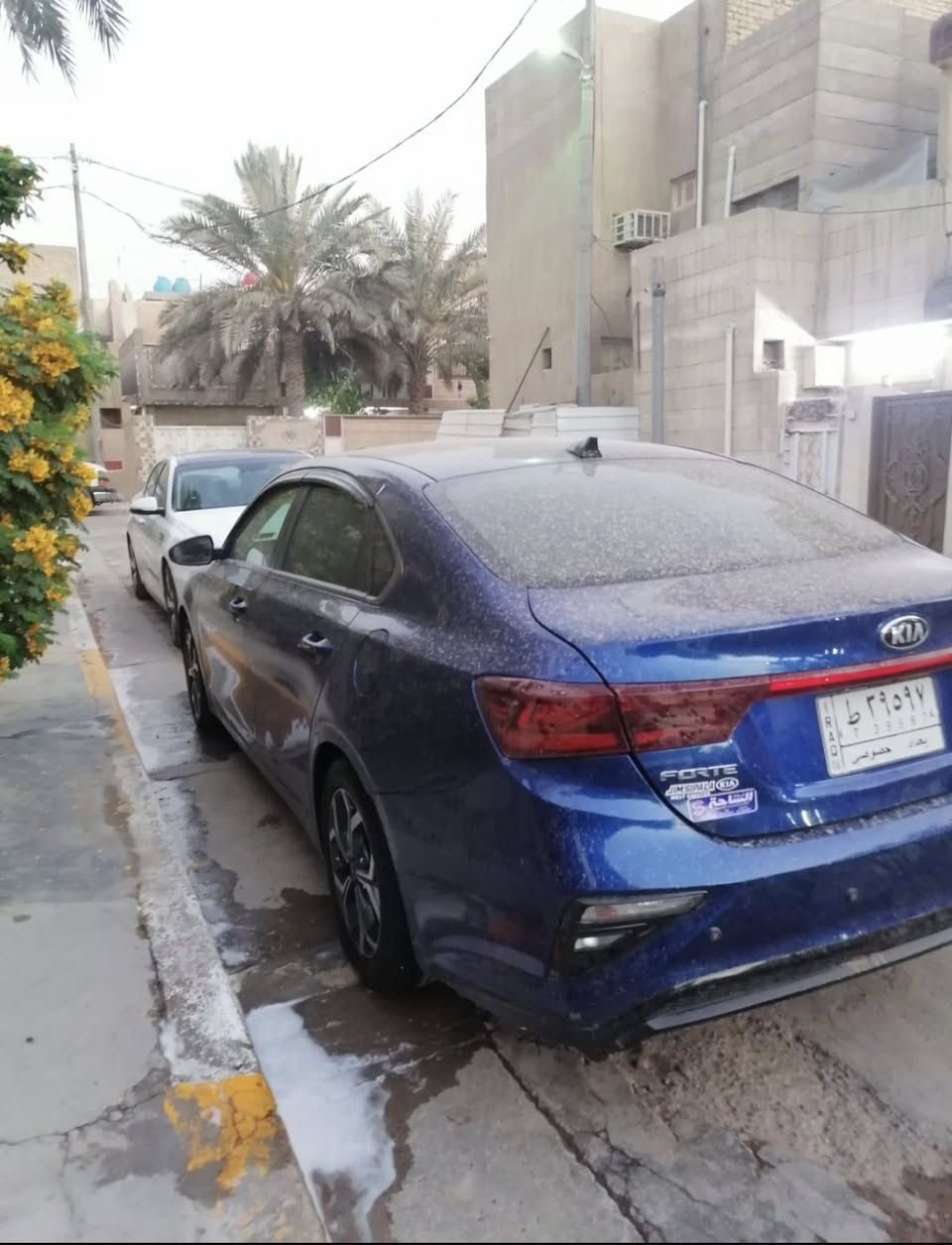 فورتي 2019 وارد امريكي حادثه جاملغ وباب خلفي سيارة جديدة كير ومكينة وصدر وتبريد خير من الله رقم بغداد بسمي السعر 127 للاستفسار ***********
