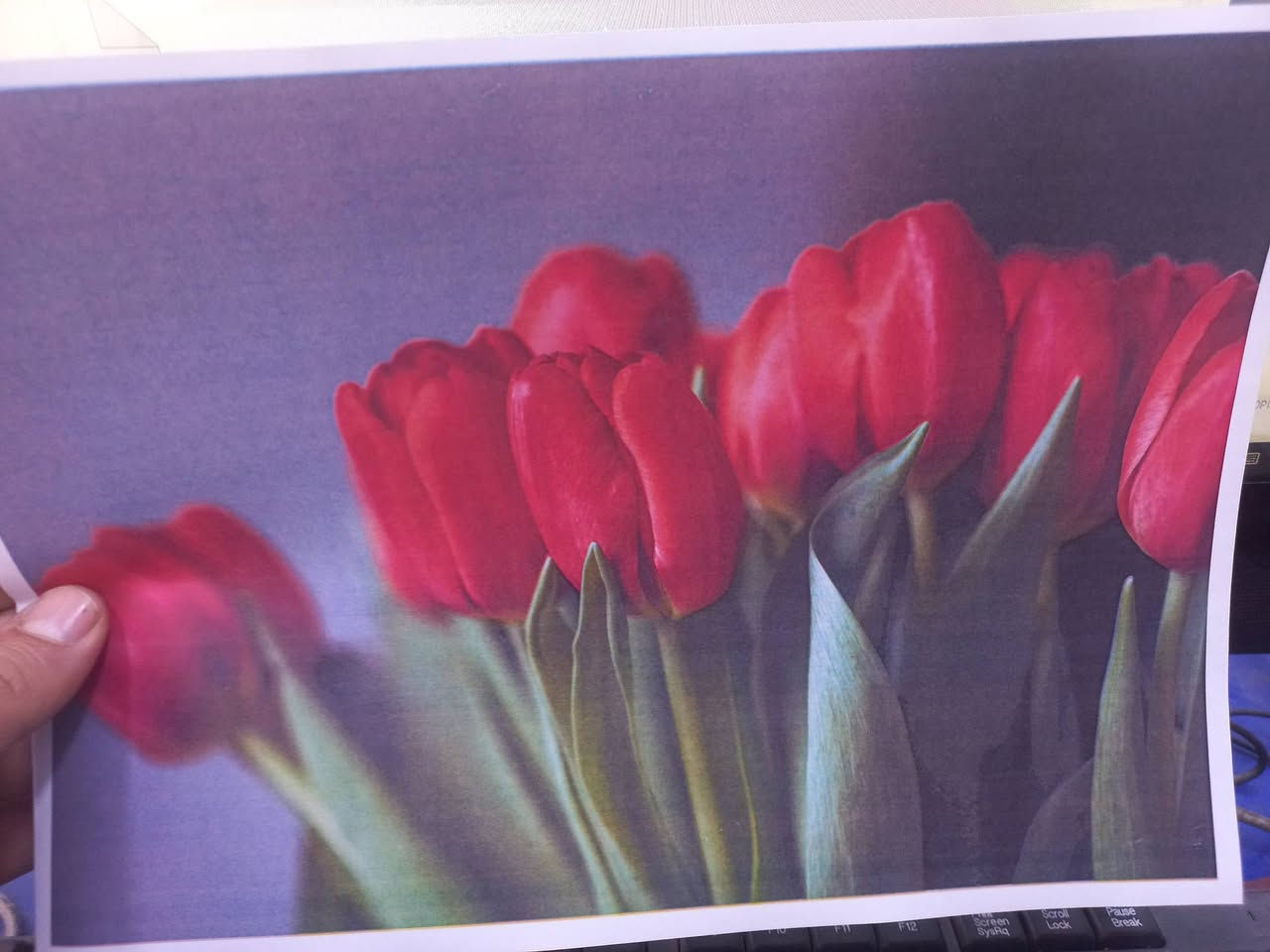 السلام عليكم  طابعه للبيع  نوع كانون c255i طابعه نضيفه نضافه ٨٠ % واي عطل طباعه وجهين  مابيها كما وضح بل صوره الطباعه مالتها  مكان ديالى شهربان توصيل ماعندي
***********
