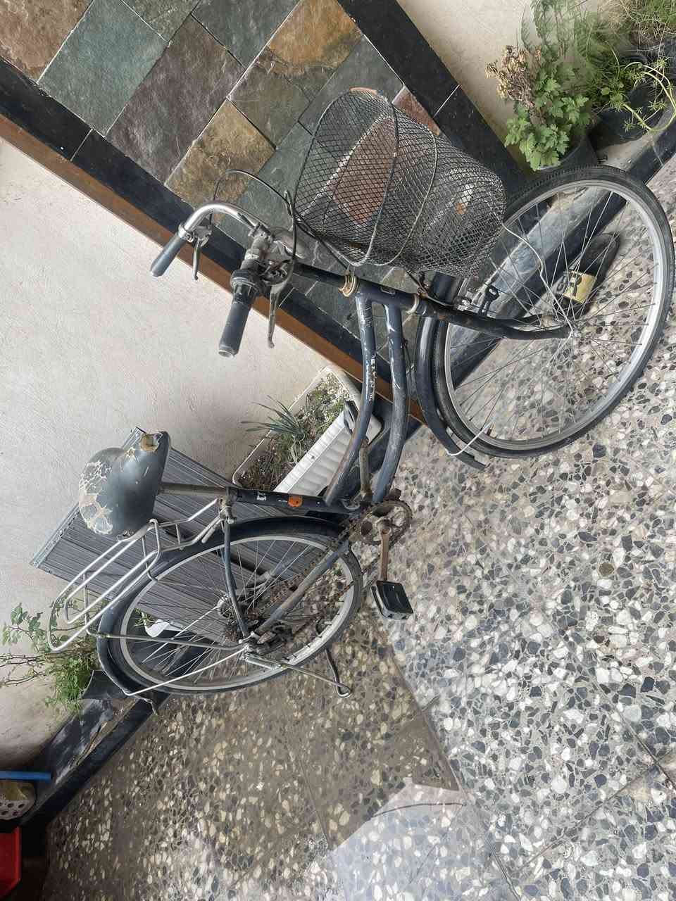 السعر 60 مكاني بغداد الدوره كل نقص مابيه ***********
