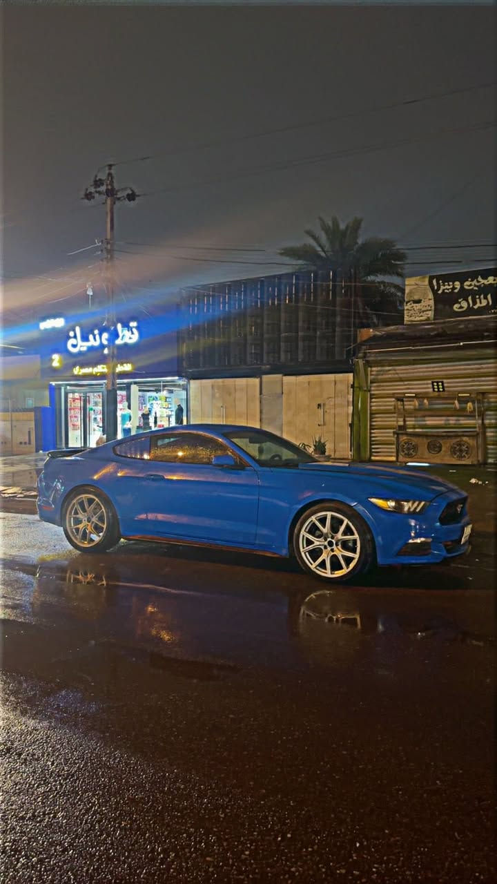 الي يدور نظيف وجديد وصلت هنا
موستنك 6 سلندر 2017 ..
ماشية 55 ميل 🐴
سيارة ستوك للأخير .. 
الحادث مثل ماموضح بالصور بدون دواخل ولا شاصي ولا لغد 
فقط ايرباك ستيرن طاك .
السيارة فقط قطعة ونص صبغ (بنيد وربع الجاملغ فقط الباقي كلين ) 
مكانها بغداد … 
*********** 
155وبيها مجال حك الجية .
شباب الي حاب يستفسر راعي السيارة رقمة فوك اني مجرد ناشرها فقط !!
