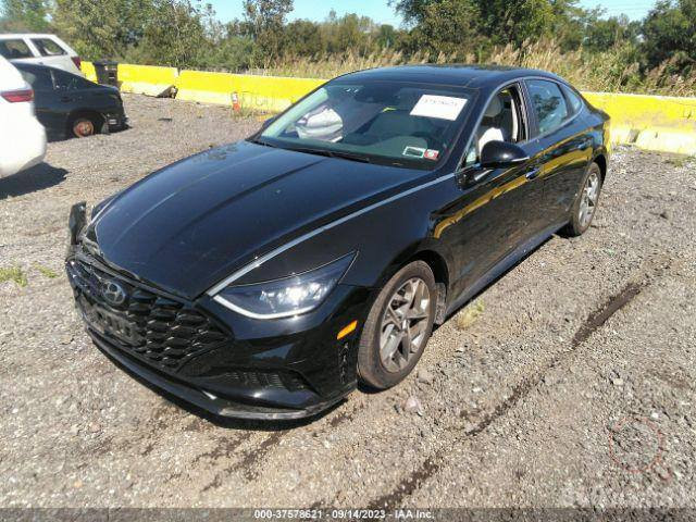 اقرة التفاصيل
سوناتا فول 2500 المرغوب 
 1/1 بنوراما دشبول 
2022 معوقين سعرها 195,ورقة مجالها قليل 
داخل أبيض قطعين تبريد بصمة 
قيادة ذاتية توقف ذاتي رادار 360 كامرة 
فول الفول زنون أبيض بلاد سايد بريك بصمه 
إرباك ستيرن ودشبول كفالة 
كير محرك حديدية تراي وضع شركة 
ماشية 55 km 
وكالة عامة مطلقة باسمي سنوية لل 29 
قطعة وحدة تبديل بارد اصبعين حادث امريكا 

مكانها كربلاء 
***********
