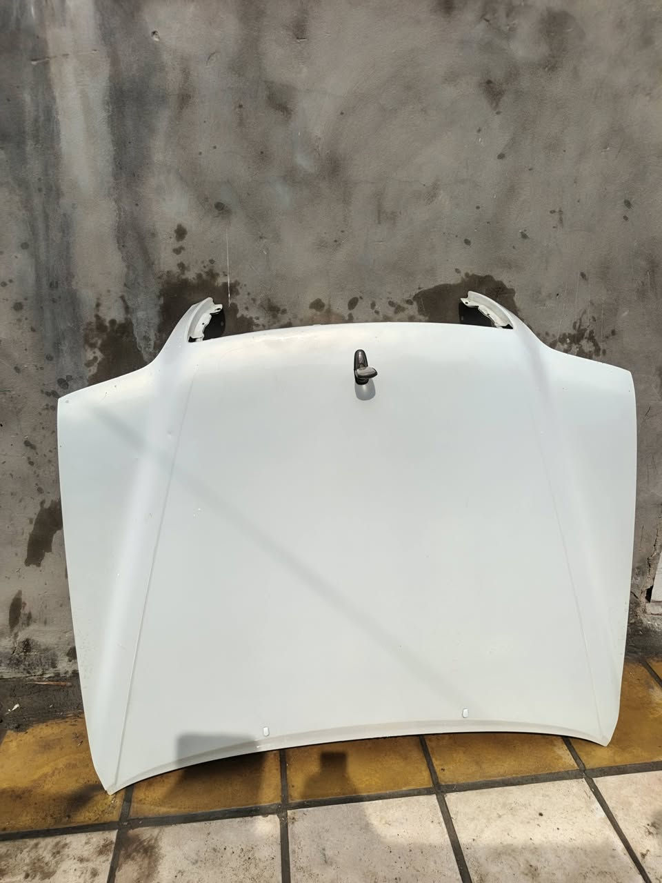 السلام عليكم فره للبيع ***********
