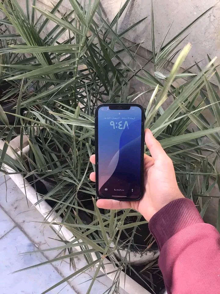 12برو ماكس ذاكرة 256 بطارية 80 جهاز مامبدل بي كلشي شرق اوسط AA/A نهايته ٤٠٠ قفل المكان بغداد


**إذا كنت صاحب هذا الإعلان وتريد حذفه لأي سبب، رجاءا أرسل رسالة إلى الدعم الفني**