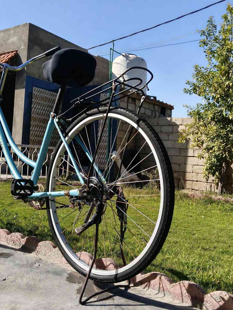 باسكل للبيع السعر خاص مكان هاشميه


**إذا كنت صاحب هذا الإعلان وتريد حذفه لأي سبب، رجاءا أرسل رسالة إلى الدعم الفني**