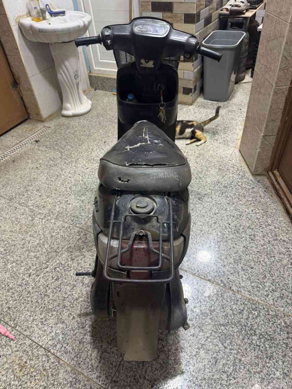 بطة للبيع 
السلام عليكم بطة للبيع موديل 99 مفتوحة مرة وحدة الدراجة كفراتها تجاري وكلها شغالة مابيها نقص عوزها غسل مافارغلها ب250 بيها مجال جداً بسيط 

واتساب مراسلة فقط ***********

