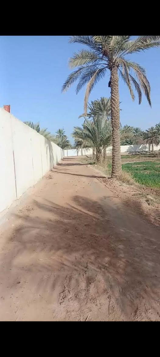 متوفر للبيع أرض طابو زراعي (سند 25) بمساحة دونم.
تتميز بواجهتين؛ الواجهة الأولى بطول 30 متر، والواجهة الثانية بطول 86 متر.

تحتوي على دار استراحة مكوّنة من غرفة وصالة ومطبخ، مع حمامات داخلية وخارجية.
الأرض مسيّجة بالكامل بالبلوك، ولها بابان للدخول.
كما تتوفر فيها بئر ماء، وماء إسالة، وكهرباء.خدمات كامله. 

الموقع ركن ومميز. طريق بغداد _كربلاء عامود 286. 
يبعد عن الشارع العام بالضبط 600 متر. 

للاستفسار والتفاصيل أكثر، يرجى التواصل.***********.   

…

