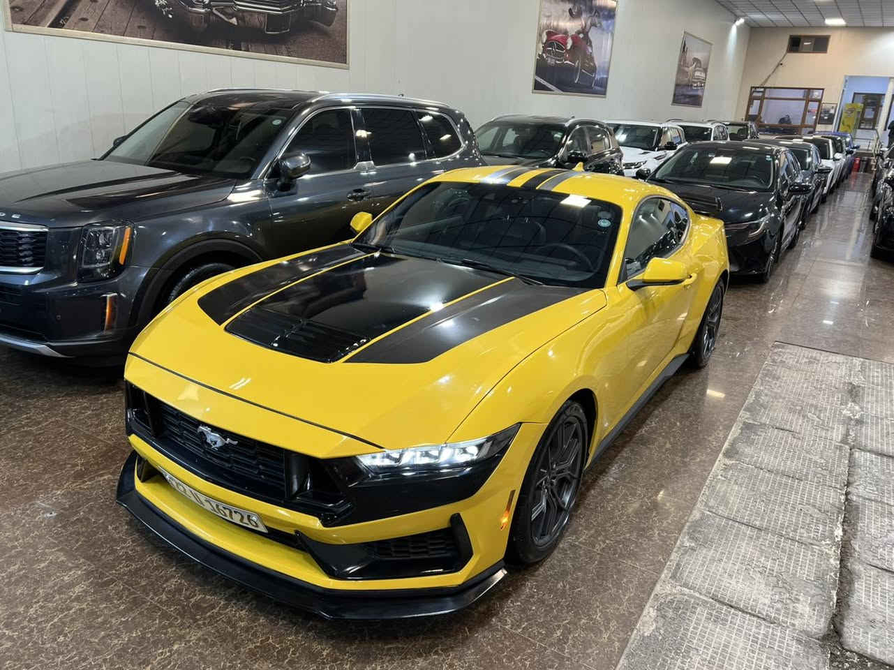 FORD MUSTANG PREMIUM 

موديل: 2024
وارد: امريكي 
رؤيشتن: 7,000مايل
نرخ: 25,500$
مؤبايل📞: ***********
***********
ناونيشان:هةولير _معرض هاشم للسيارات 
شةقامي ١٠٠م بةرامبةر دائيرةي گمرگ سيارات

‏HASHM_FOR_CARS___هاشم للسيارات 

موديل: 2024
وارد: امريكي 
ماشي: 7,000مايل
السعر: 25,500$
تلفون📞: ***********
***********
العنوان:اربيل _معرض هاشم للسيارات 
شارع ١٠٠م مقابل دائرة كمرك سيارات 

‏HASHM_FOR_CARS___هاشم للسيارات
