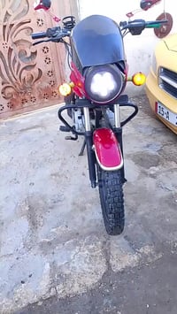 بوكسر • جبلي • اوراق اصولي