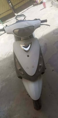 ماكس منغولي • كفالة عامة • بغداد الشعب