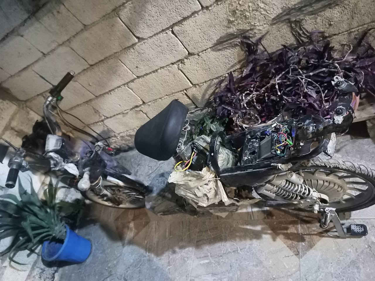 السلام عليكم  باسكل شحن  تفصيخ رخيص  الرقم ***********  المكان ديالى بعقوبة  رخيص و الله❤️❤️🥰🥰
