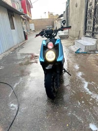 سكنس جبلي • رمبه • بيه مجال
