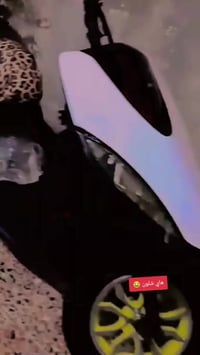 ماكس • ٥٥ • بصره