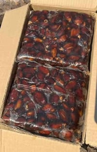 تمر ديرتك • طازج • توصيل الحلة