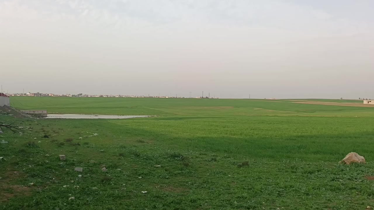 ارض دونم على طريق تلكيف بعويزة يبعد عن شارع عام 55 متر سند زراعي 25 شرط تحويل متوفر خدمات للستفسار ‏‪***********‬‏ متوفر واتس واتصال
