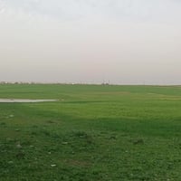 تلكيف بعويزة • دونم • سند زراعي