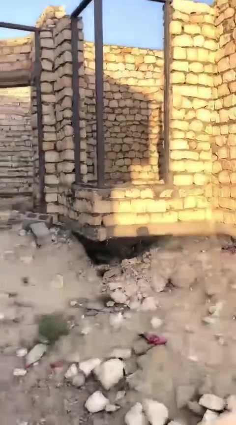 سلام عليكم 
يوجد بيت هيكل للبيع
المكان الصديقيه ،،قرب المرقي ابو يمان،،
المساحه 300
بناء حديث،،
كما موضح في الصوره،،
الاستفسار والاتصال،،
***********
