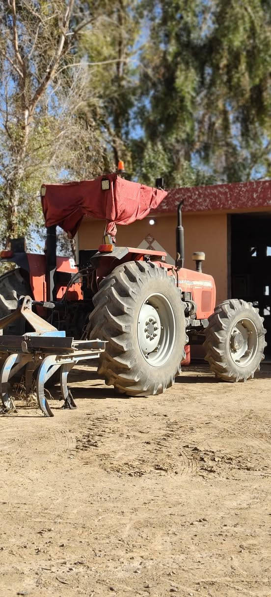 سلام عليكم... للبيع مگينه نووع برازيلي  حجم 440.موديل 2006.المكينه كتاب شركه مدون رقم المكينه مجفته قبل شهر ولباقي گله شركه هيه ومعداته خرماشه +فدان ثلاثي حجم 12+هولدر قبل فتره اخذته ول شراي يتصل مگلف بل نشر ***********///***********...مكان. دوز
