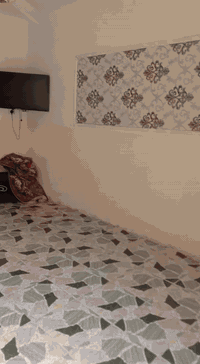 السعر 28 / //  يتوفر بيت للبيع  //مساحته200 ////  يتكون من غرفت نوم وصاله ومطبخ ستقبال   طارمه جبيره  اصلاح زراعي تخطيط عمراني الاف البيوت هيج ومشوله بطابو خدمات مي وكهربا تبليط مدرسه باقي التفاصيل الي ما ذكرته ع خاص مواصفاته كما موضح بالصور.. العنوان حله ابو غرق قرب المعهد الفني قرية الحمام الاولى يبعد عن الشارع العام حله كربله 100 متر/ستفسار اكثر ع خاص // ا @إشارة  الجميع اضغط متابعة


**إذا كنت صاحب هذا الإعلان وتريد حذفه لأي سبب، رجاءا أرسل رسالة إلى الدعم الفني**