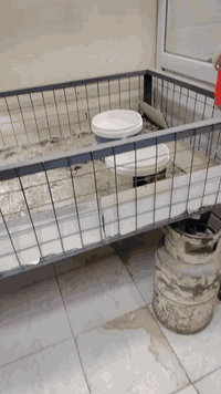 محل دجاج للبيع • جديد درجة اولى • الشاميه