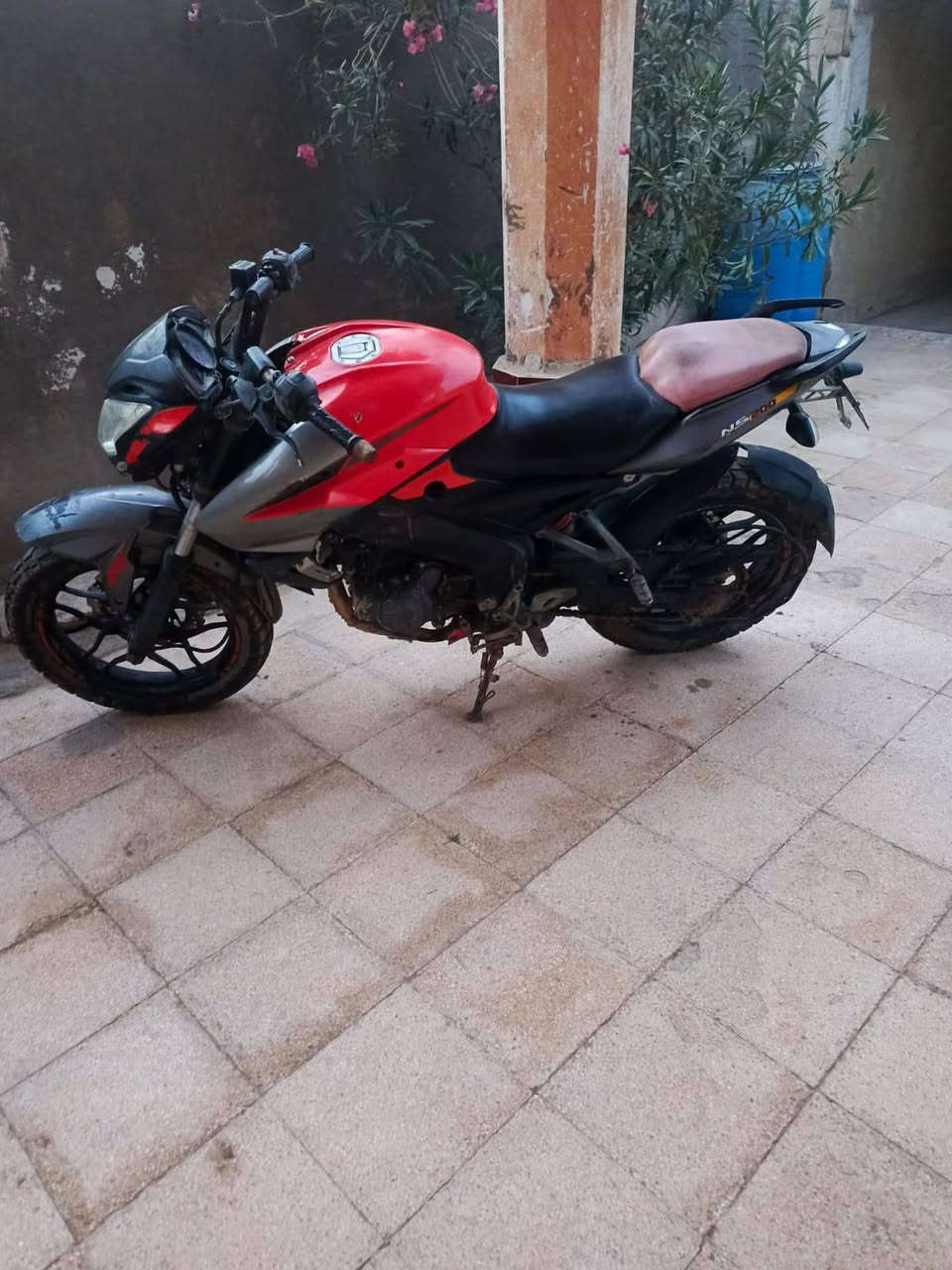 دراجة بولسر ان اس 200 باجاج شكل رياضي مسجلة مستلم فقط سنوية ما مستلم لوحات
عيني الدراجة مسجلة وكاملة ومستلم فقط سنوية ما مستلم لوحات راعيها موجود يتكفل بأصولياتها والتحويل

اشتريتها وتضايقت ع المكان وارد ابيع مستعجل

السنوية عربي مو انلكيزي وتنتهي بسنة 2028

الدراجة مبدل كلجاتها كلجات جديدة وكالة تفيلس مقسم جديد

الشاصي صبغ حراري 

 و  بعد محتاجه ادامه من الخارج تلحيظات 

اشتريتلها غراض تفصيخ وكالة :

تخم اشاير خلفي وامامي 

وكاك بانز

دبة دهن عنبار خلفي

بس الدكسات جديدة

والمرايات هم جديد شكل كلش حلو الجامه مالته زركه

السعر ع الاتفاق للتواصل ع الرقم واتساب او اتصال

***********
