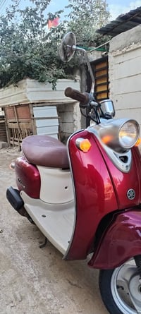 دراجة مصرية • فحل خطين • لون كرزي