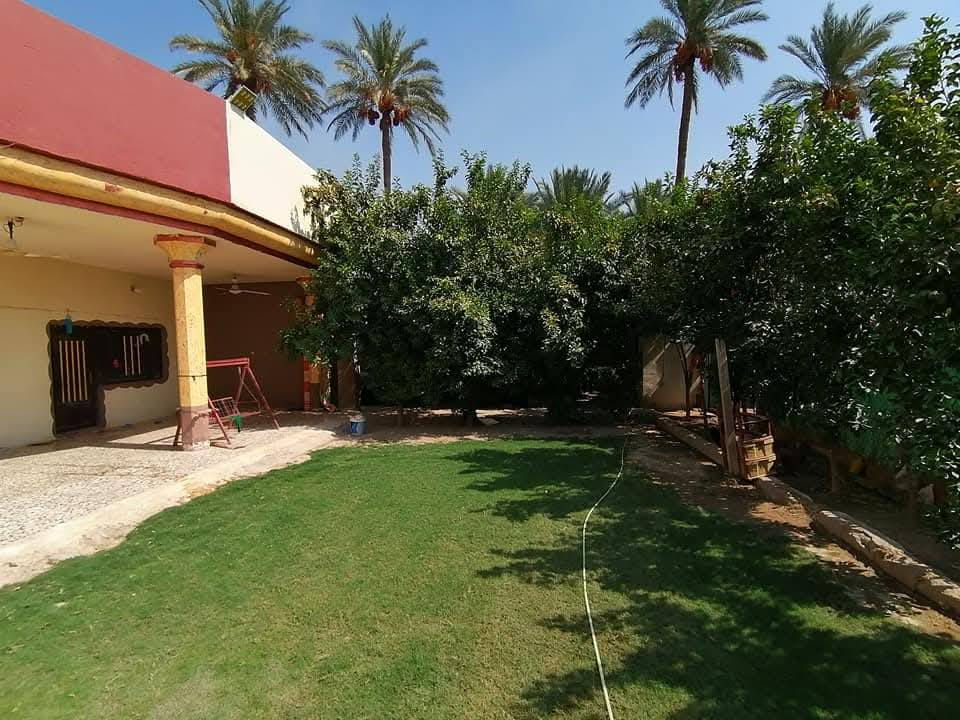دار للبيع مساحه 600متر سند 25 البناء نظيف مكون من غرفتين وصاله واستقبال ومطبخ ومجمع صحيات والدار فيها حديقتين من الجانب ومن الواجه وتحتوي على اشجار الحمضيات منطقه السياحي ام جمل تبعد عن الشار العام طريق الزوار 300متر تبليط وللتواصل ***********
