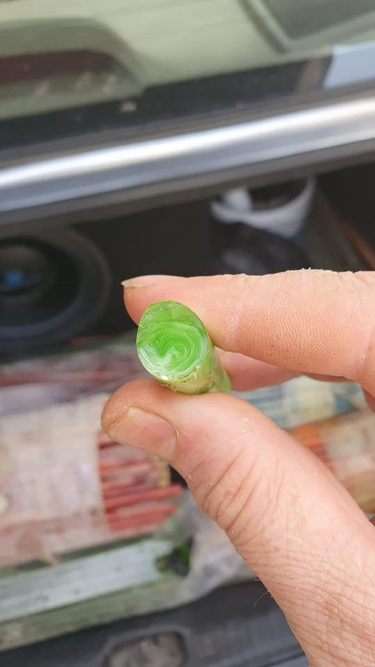 سندلس تركي عصي و كوك او نارجين للبيع


**إذا كنت صاحب هذا الإعلان وتريد حذفه لأي سبب، رجاءا أرسل رسالة إلى الدعم الفني**