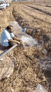 تم وبفضل الله تجهيز وتنصيب منظومة طاقة شمسية لتشغيل غطاس بقدرة 4 حصان سنكل . لأرض خالي رعد الناصر  
 #قرية_صدر_النهر
تتكون المنظومة من : 
🔵 9 الوح شمسي نوع(Longi) 610 W ذات وجهين  وبكفائة عالية بضمان 15 سنة. 
🔵جهاز انفيرتر حجم. 7.5 kw واط سنكل . بضمان سنتان . 

مهندس ابراهيم حسن ***********
