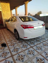 كورلا خليجي • ١٫٦ • رقم بغداد