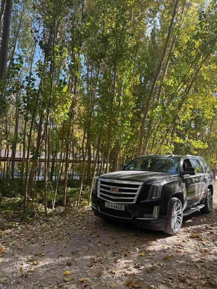 سكاليد 2018 جديدة كلش السيارة بأسمي للبيع خليجي وكالة المنصور رقم أربيل فول مواصفات اي نقص مابيها السعر 380 الاستفسار *********** البصرة, العراق
