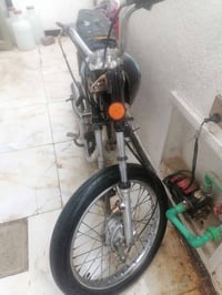 عاطلة • بدون اوراق • ملحق الفارس