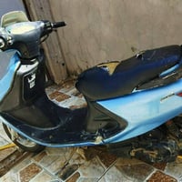 فراشة • فحل • نص نكرة