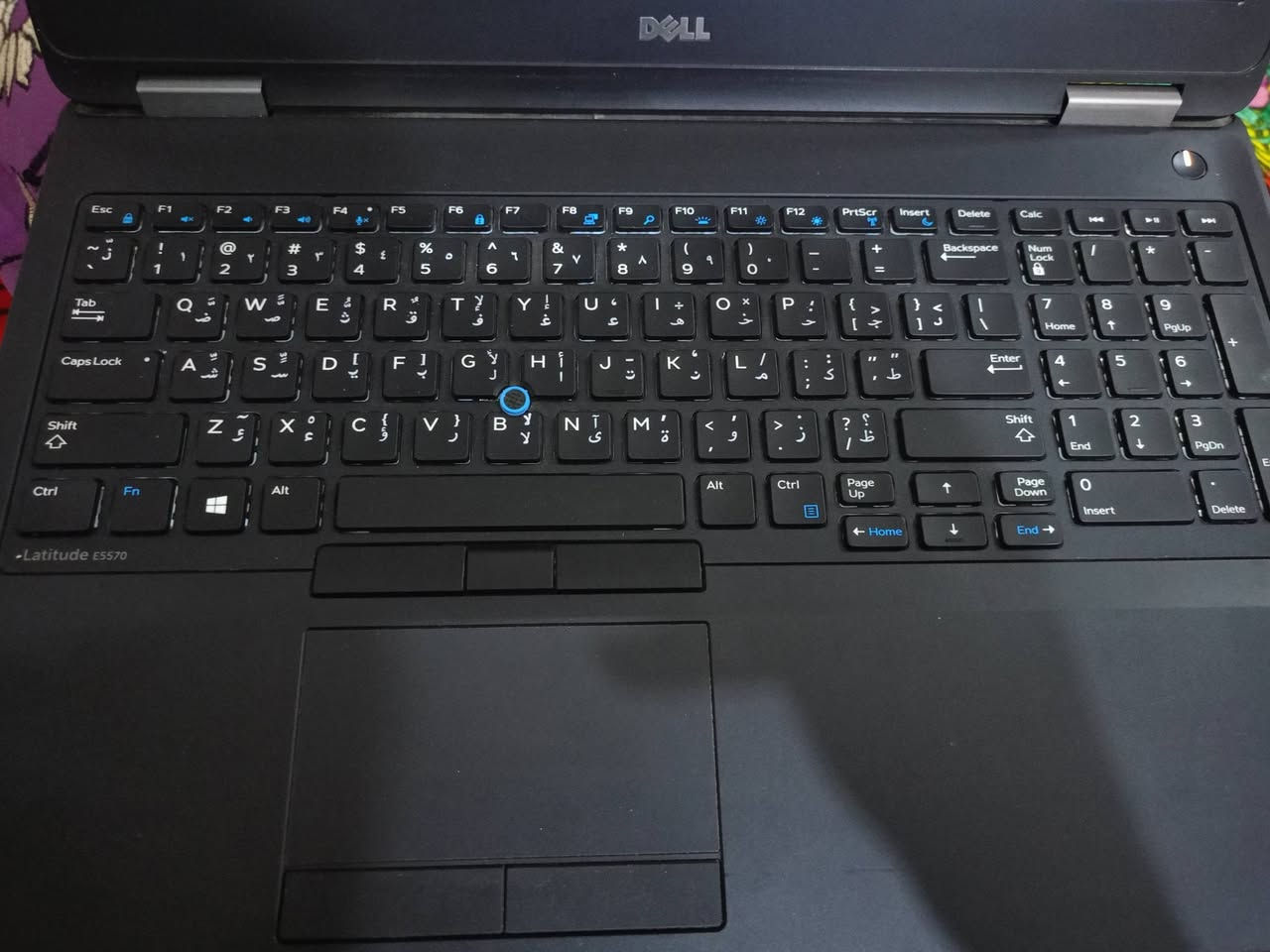 السلام عليكم
لابتوب نضافة 100% 

نوع Deel

core i5

الجيل السادس

كيبورد مضيئ 

وندز 10

مساحة تخزين 256G

ذاكرة وصول (RAM) عشوائية  8G

السعر 250

للتواصل خاص موجود


**إذا كنت صاحب هذا الإعلان وتريد حذفه لأي سبب، رجاءا أرسل رسالة إلى الدعم الفني**