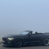 موستانغ • ٢٠١٥ • ٥٠٠٠٠ كم