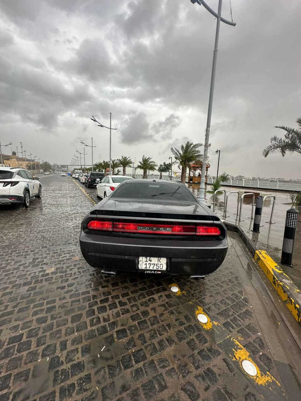 فول مواصفات ابو الخصيب, البصرة


**إذا كنت صاحب هذا الإعلان وتريد حذفه لأي سبب، رجاءا أرسل رسالة إلى الدعم الفني**