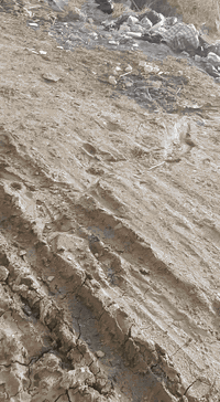 قطع مع بتلو للبيع ينباع اقصاد***********
